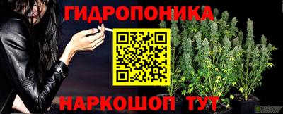 гидропоника Партизанск