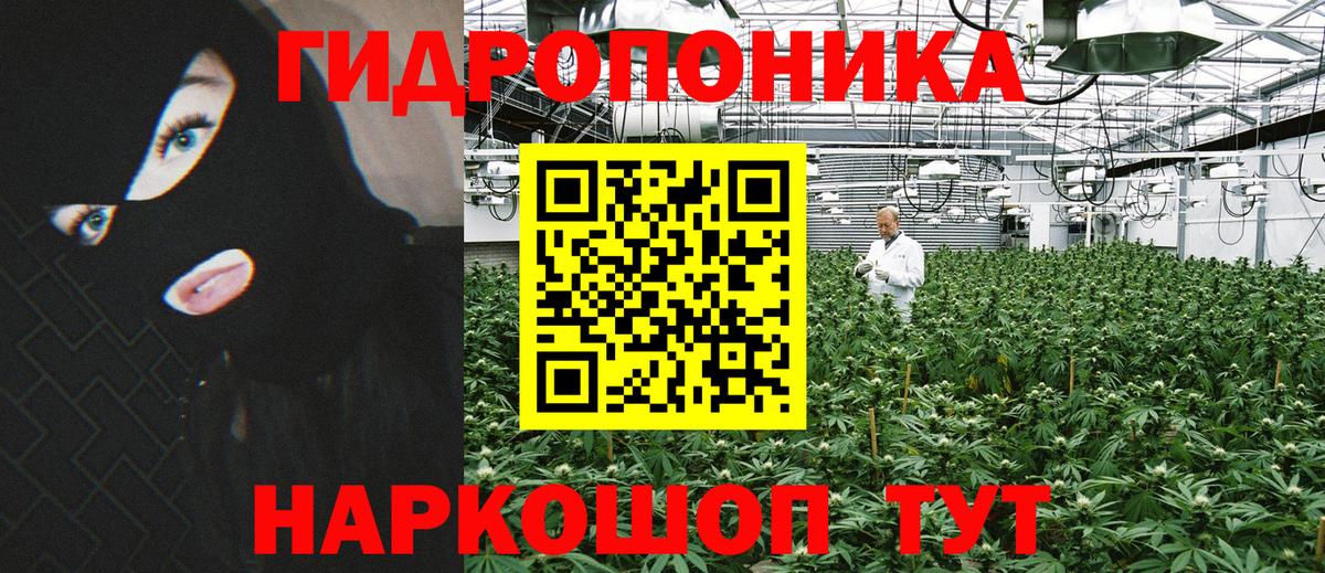 Каннабис White Widow  Вход с VPN  Родники  Бошки марихуана тримм  Бошки марихуана THC 21% 